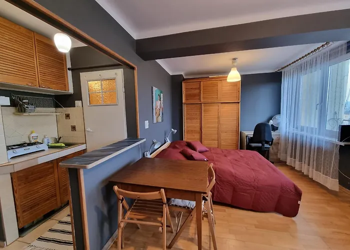Mieszkanie Z Widokiem Na Wawel Apartament
